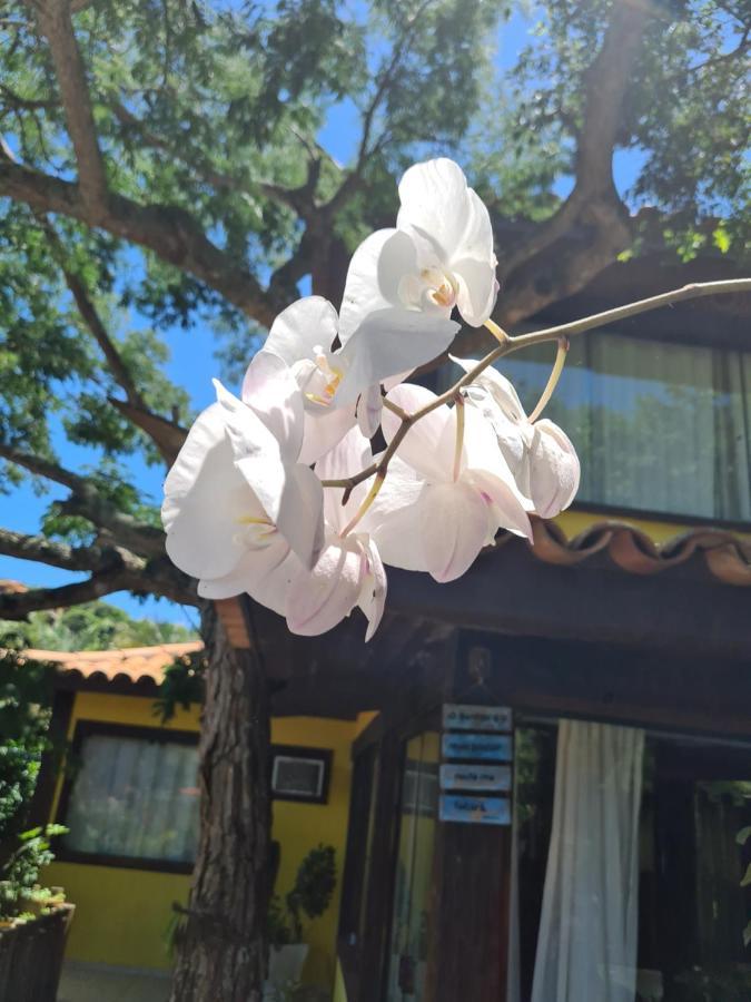 Casa Ferradura Com Hidro,Piscina E 500 Metros Da Praia Armacao dos Buzios ภายนอก รูปภาพ